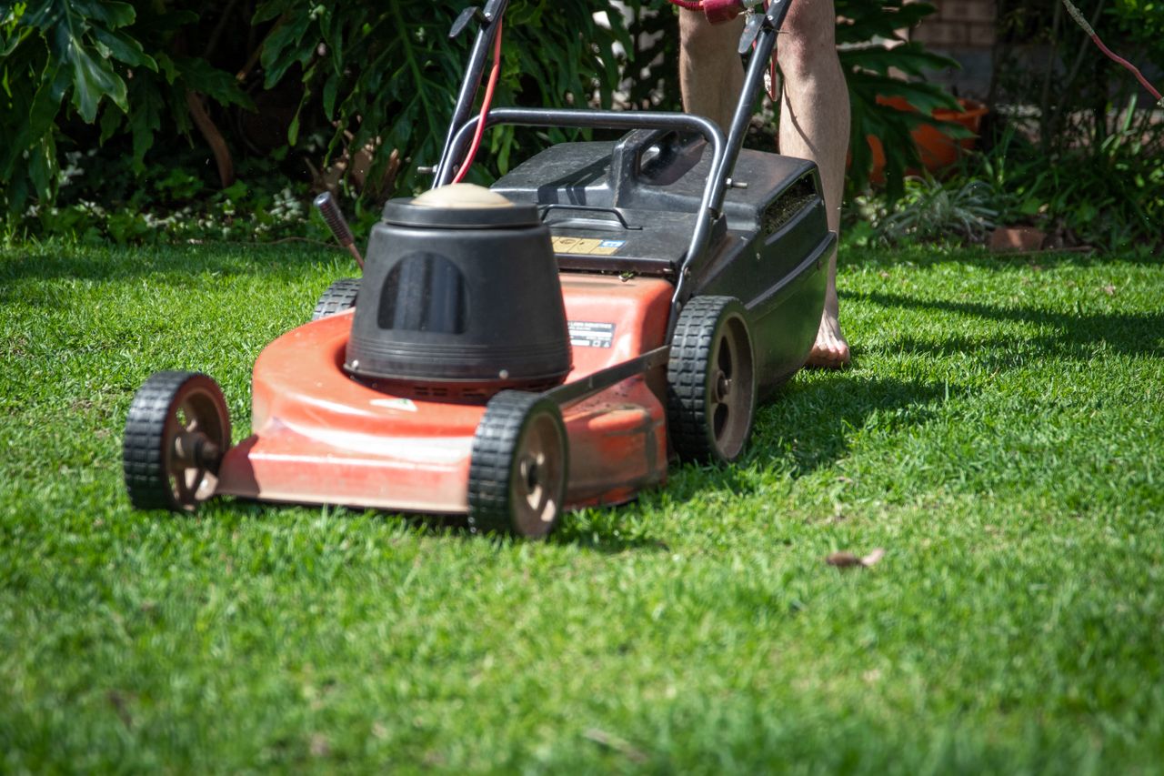 Lawn detailing